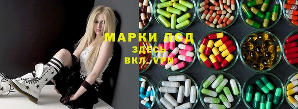 СК Аркадак